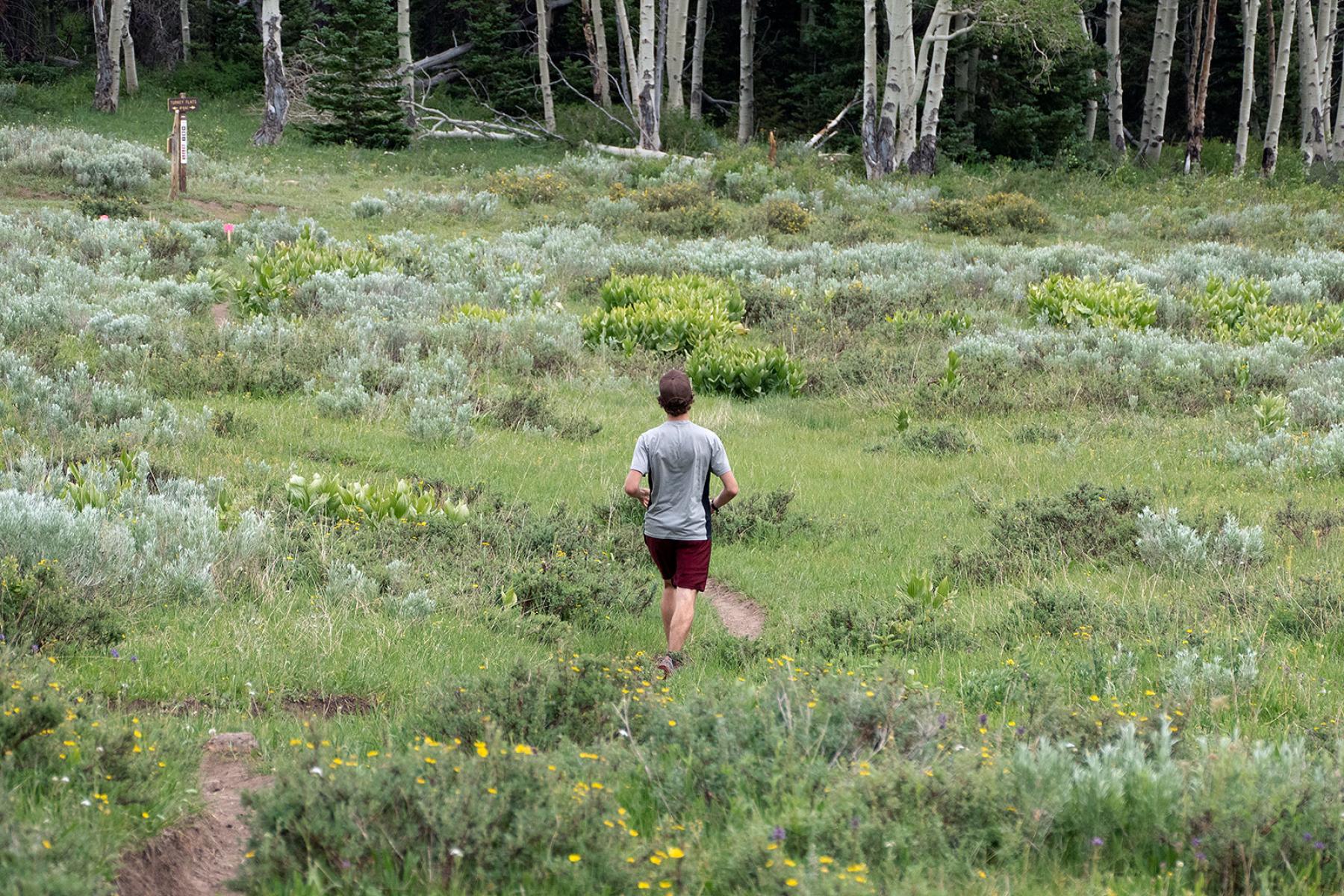 2020 Turkey Flats 9-Mile Trail Running Race on June 28, 2020
