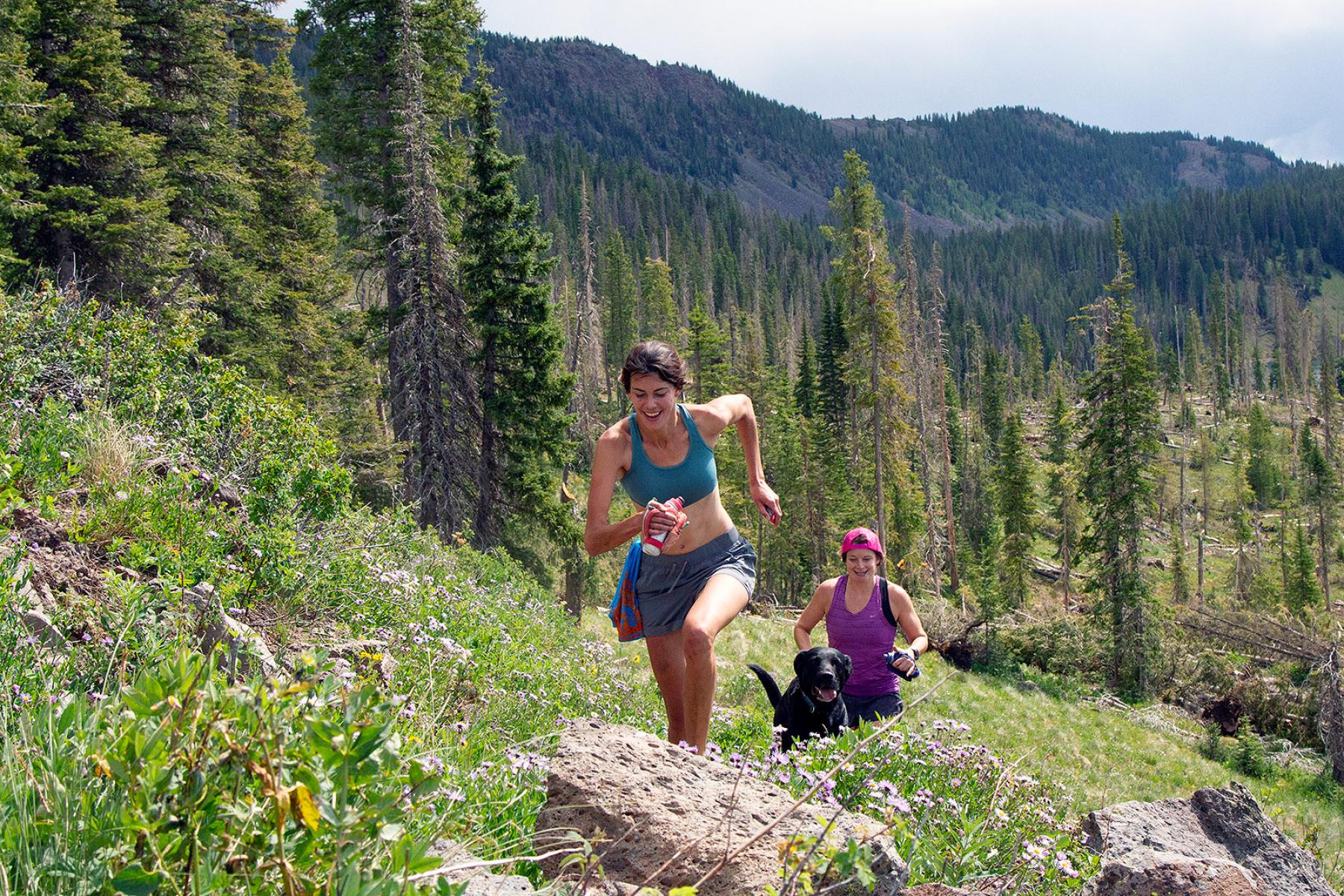 Crag Crest 2020 Trail Race