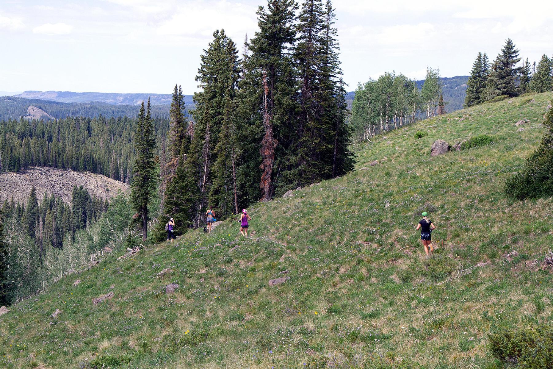 Crag Crest 2020 Trail Race