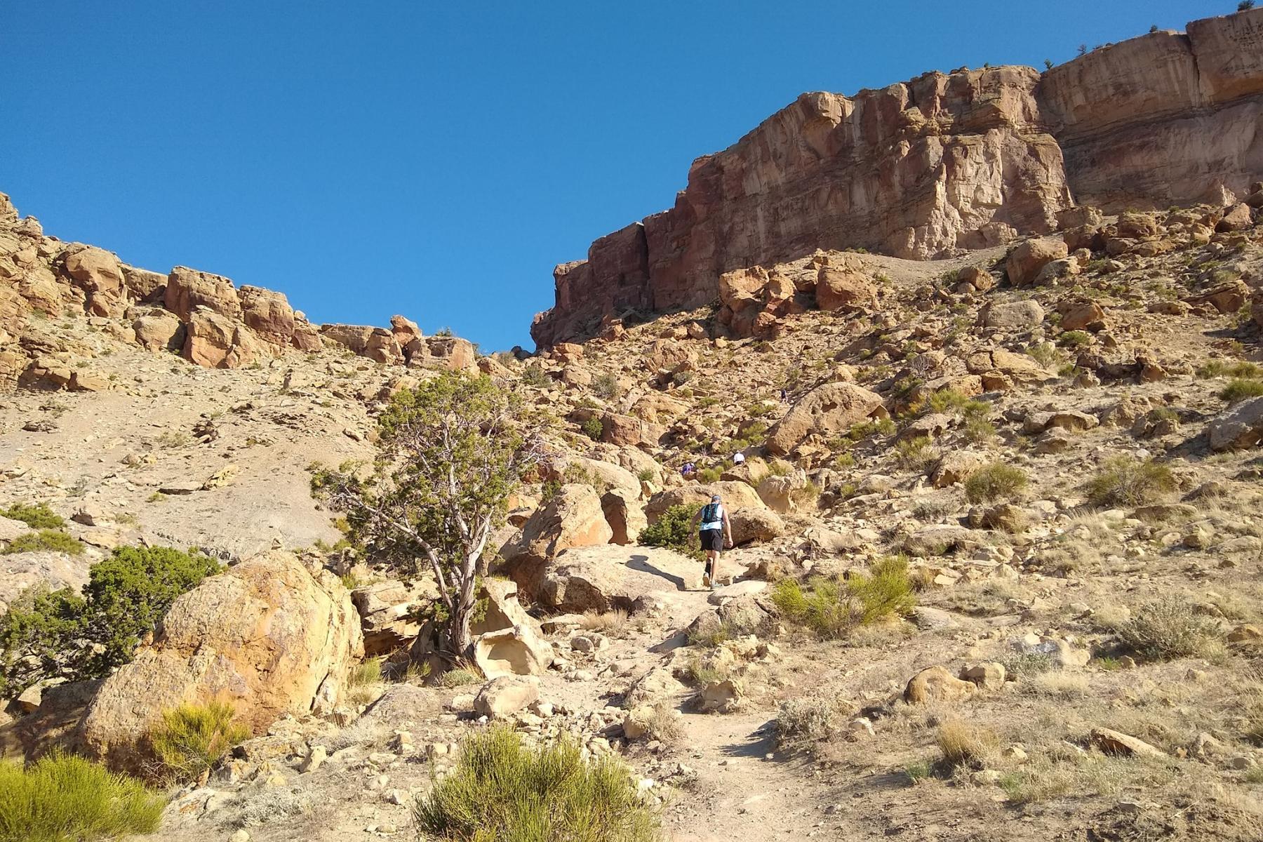 Garfield Grumble 2021