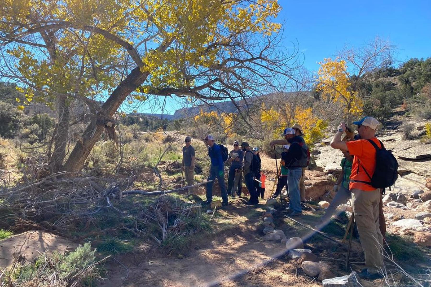 removing one final tree