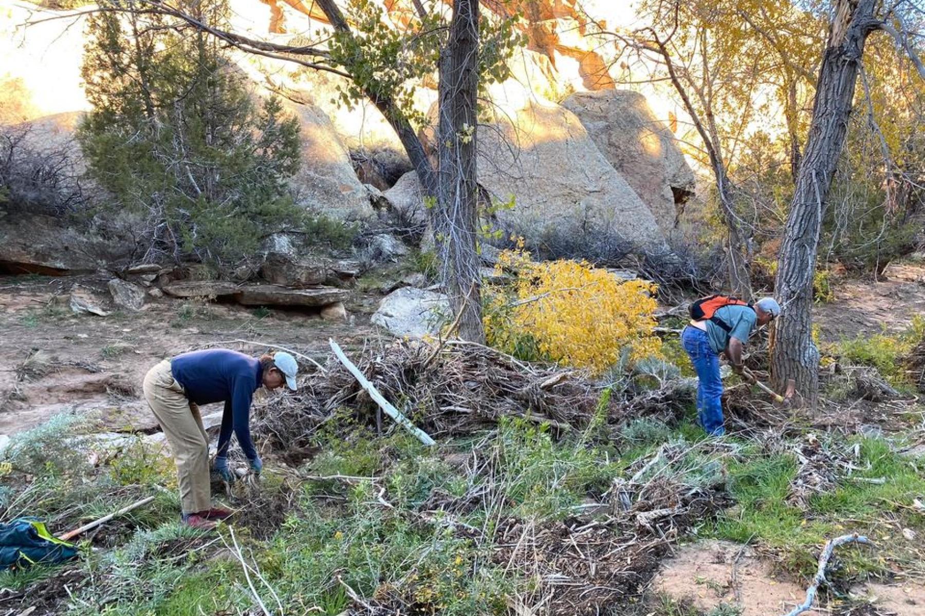 taking down a tree that fell across the trail