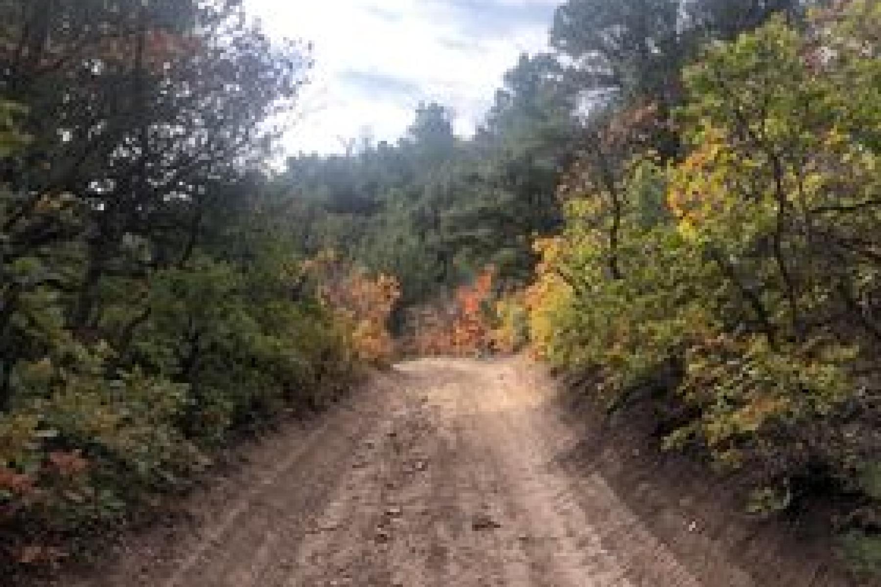 2022 Run to Whitewater - photo by Natalie C