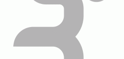 Race Organizer's Logo