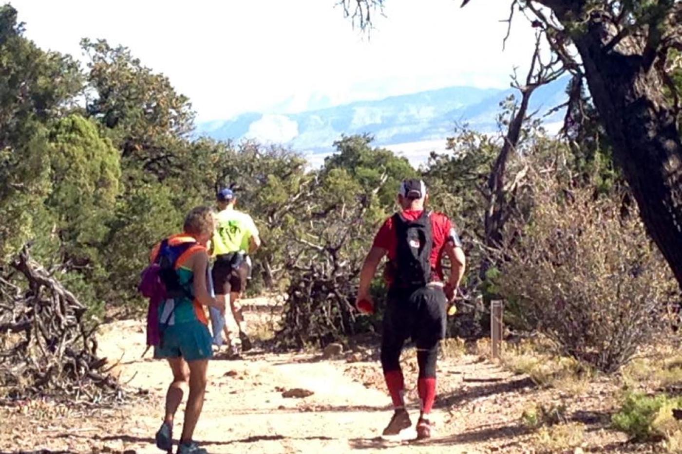 Runners along the trail